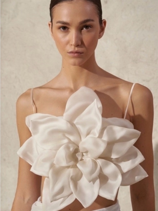 Andres Otalora Dresses & Skirts - Andres Otalora Amor Eterno Floral-Appliquéd Silk Organic Crop Floral Top - XS